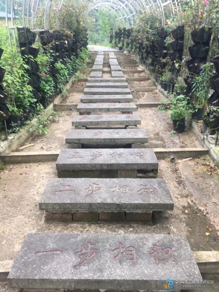 路上两小时,处理10分钟,400挂账