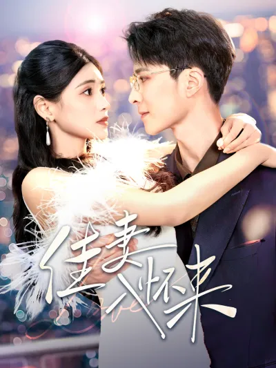 佳妻入怀来 poster