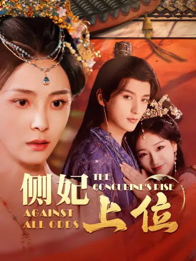 侧妃上位 poster