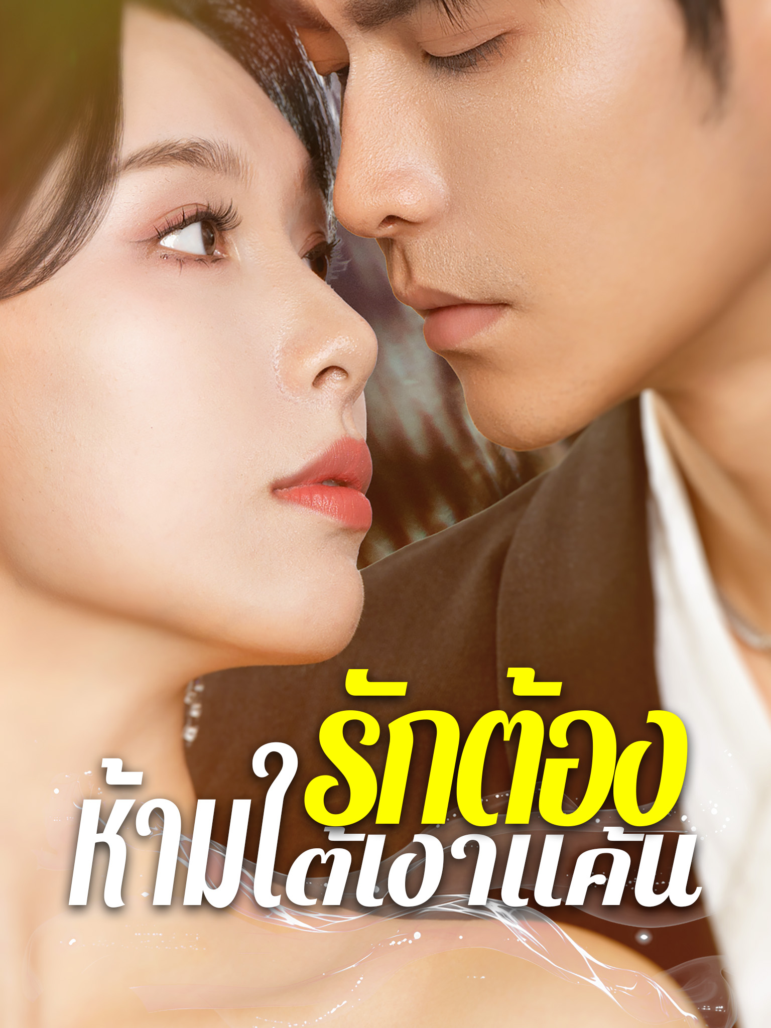 รักต้องห้ามใต้เงาแค้น