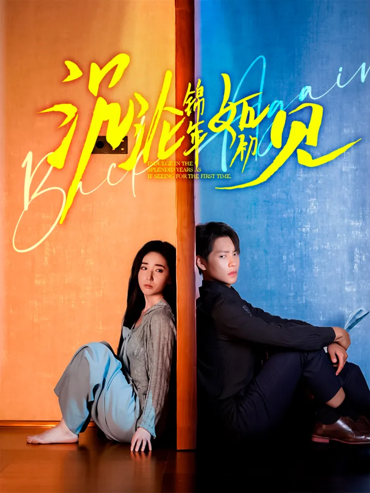 沉沦锦年如初见 poster