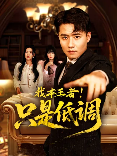 我本王者!只是低调 poster