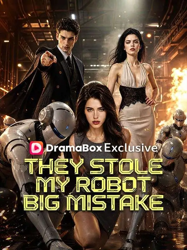 They Stole My Robot.Big Mistake poster