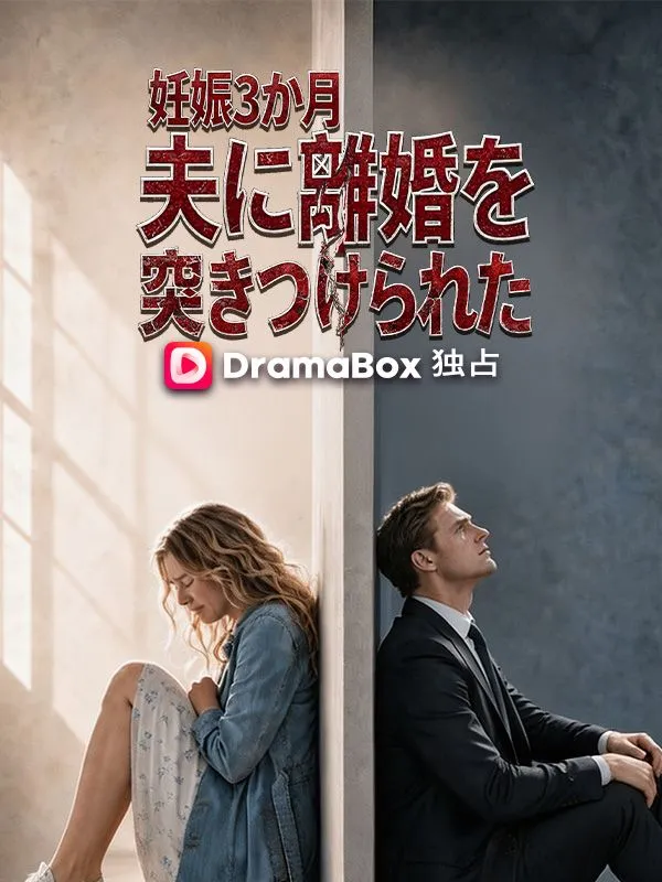 妊娠3か月、夫に離婚を突きつけられた(吹き替え) poster