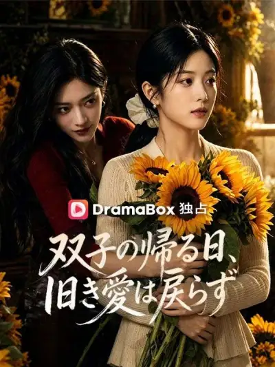 双子の帰る日、旧き愛は戻らず poster