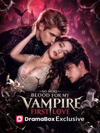 No More Blood For My Vampire First Love poster