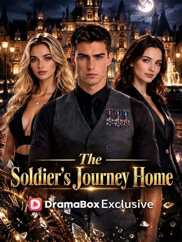 The Soldier‘s Journey Home poster