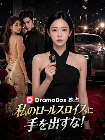 私のロールスロイスに手を出すな! poster