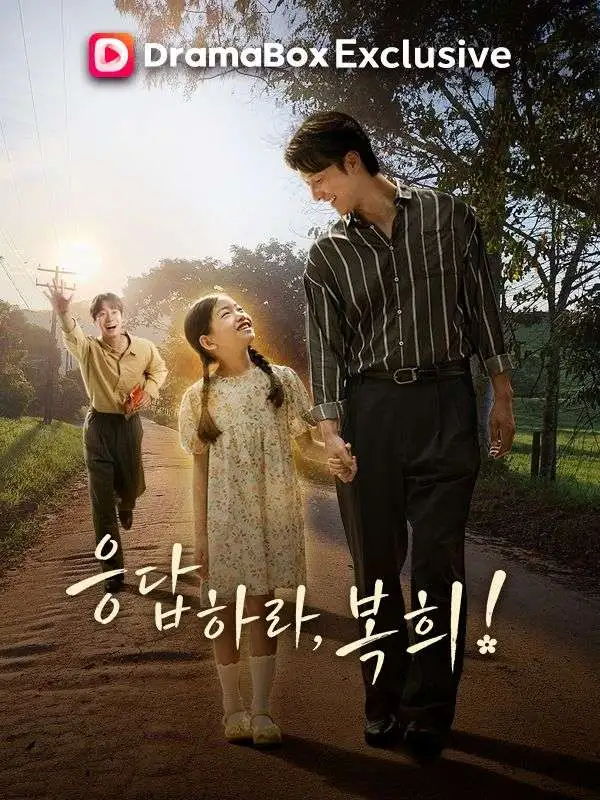 응답하라, 복희 poster