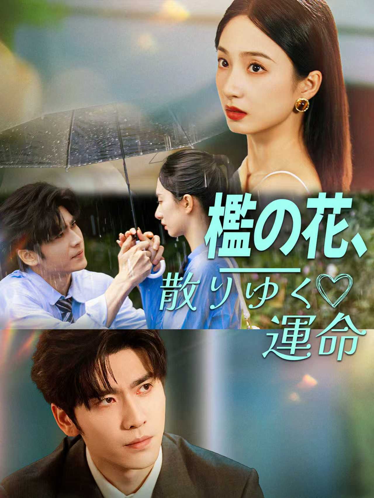 城南的花开了，你还走吗