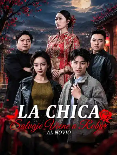 野蛮女友上门抢亲 poster