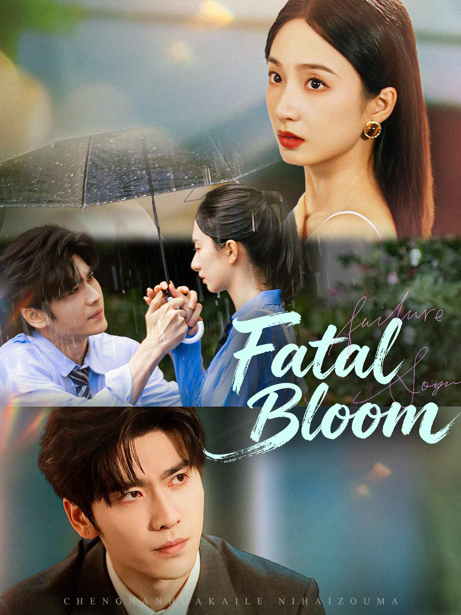 城南的花开了,你还走吗