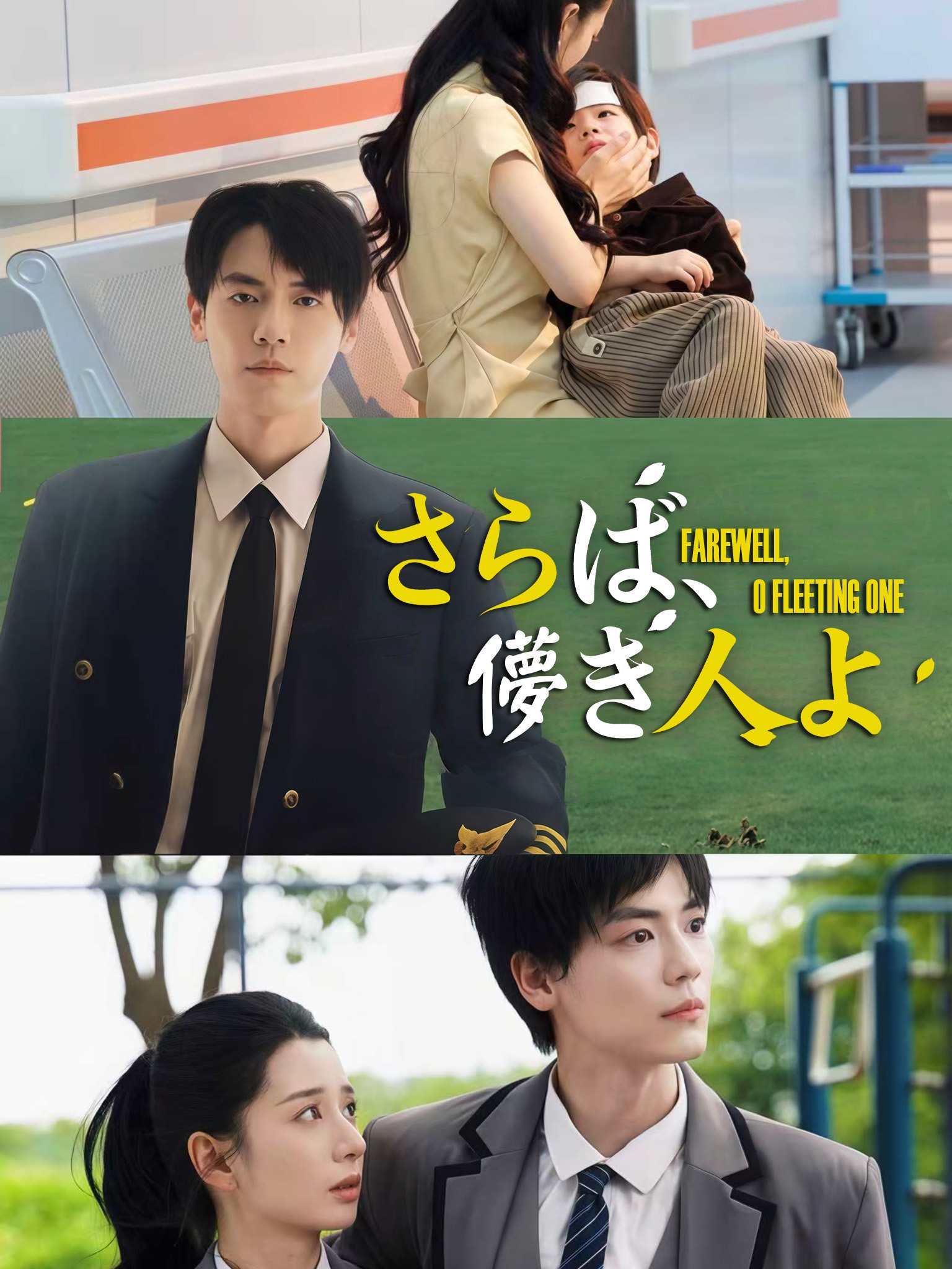再见机长大人，夫人已读不回