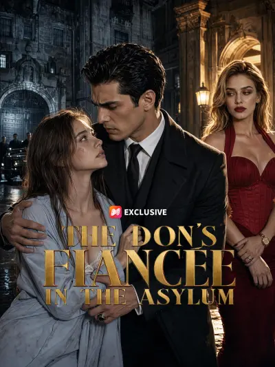 The Don's Fiancée in the Asylum poster