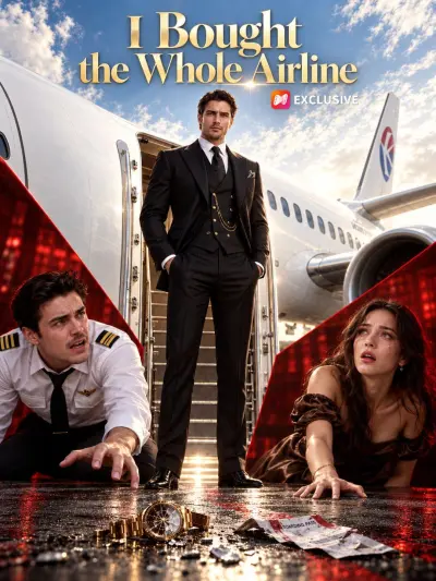 I Bought the Whole Airline poster