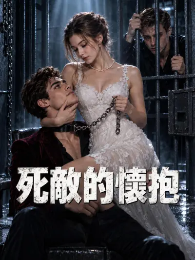 死敵的懷抱 poster