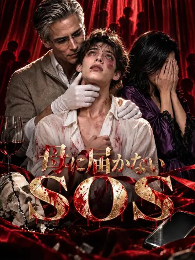 母に届かないSOS poster