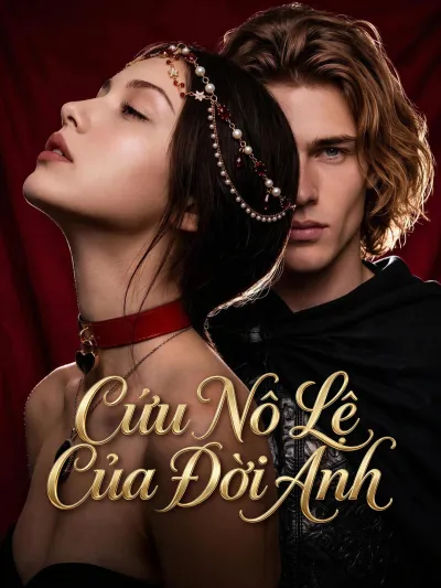 Cứu Nô Lệ Của Đời Anh poster