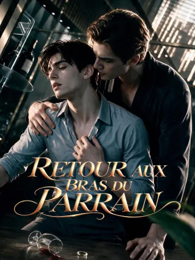 RETOUR AUX BRAS DU PARRAIN poster
