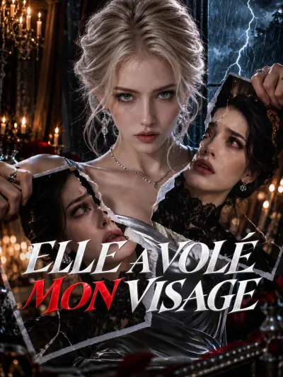 ELLE A VOLÉ MON VISAGE poster
