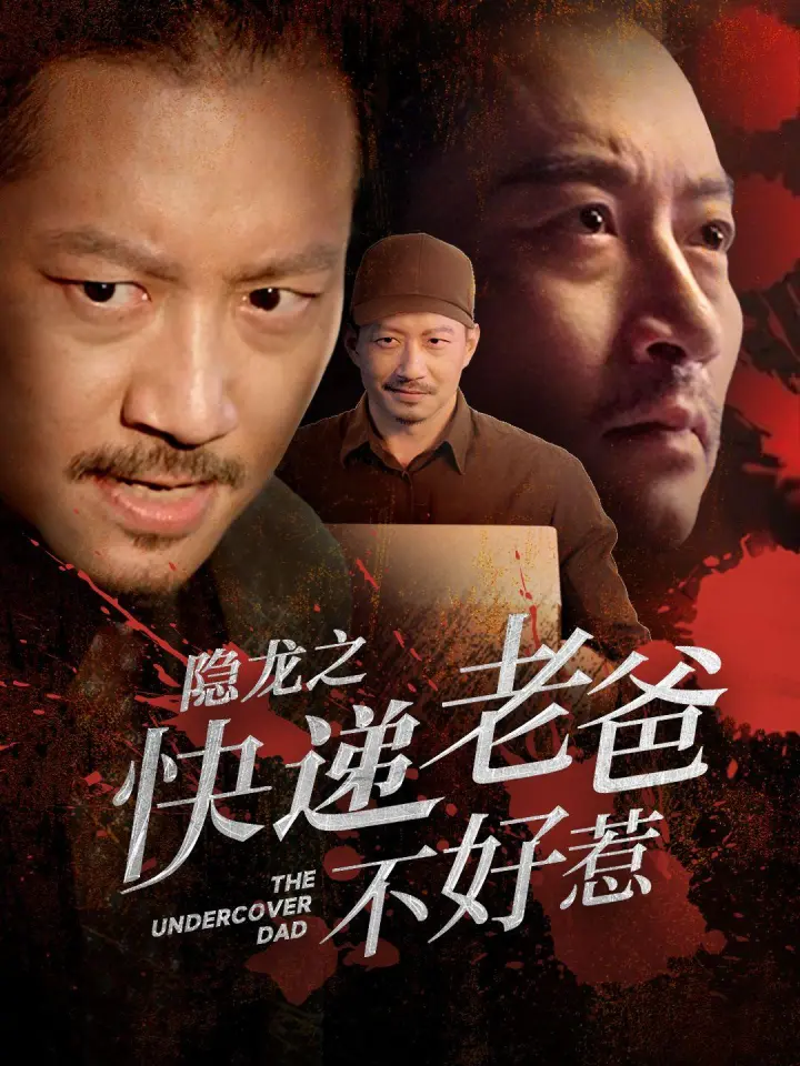 隐龙之快递老爸不好惹 poster