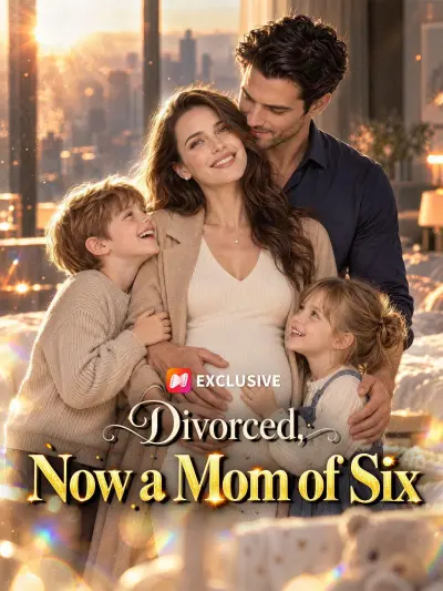 Divorced, Now a Mom of Six poster