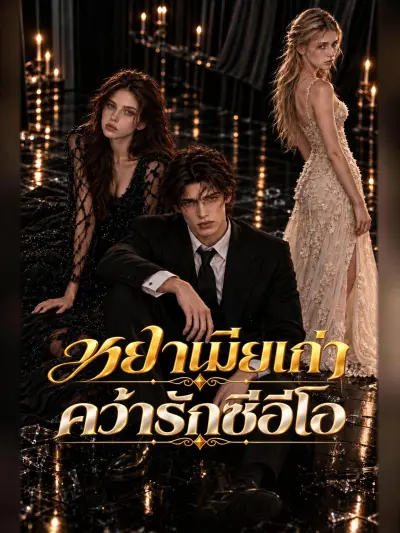 หย่าเมียเก่า คว้ารักซีอีโอ poster