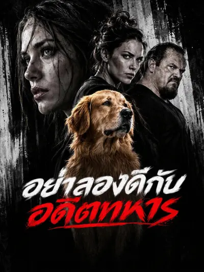 อย่าลองดีกับอดีตทหาร poster