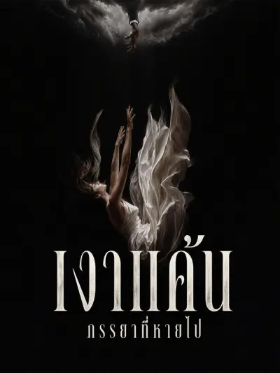 เงาแค้นภรรยาที่หายไป poster