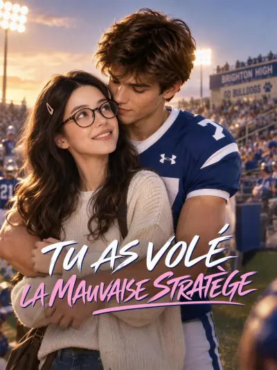 TU AS VOLÉ LA MAUVAISE STRATÈGE poster