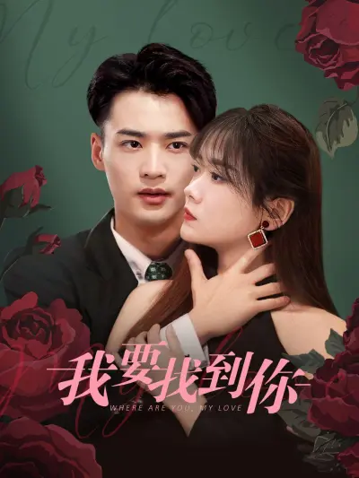 我要找到你 poster