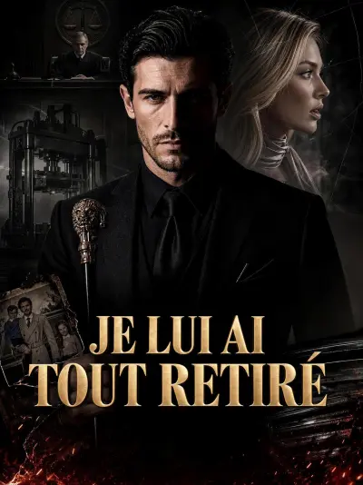 JE LUI AI TOUT RETIRÉ poster
