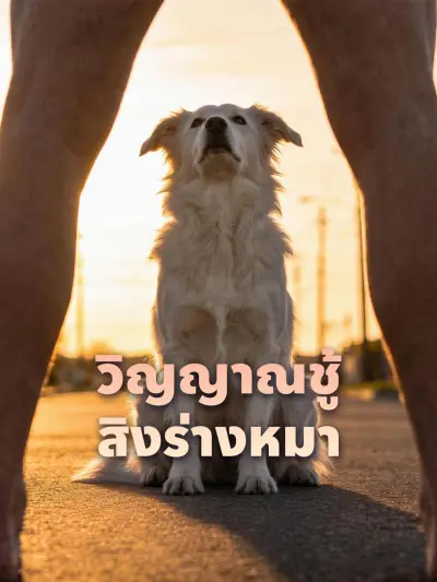 วิญญาณชู้สิงร่างหมา poster