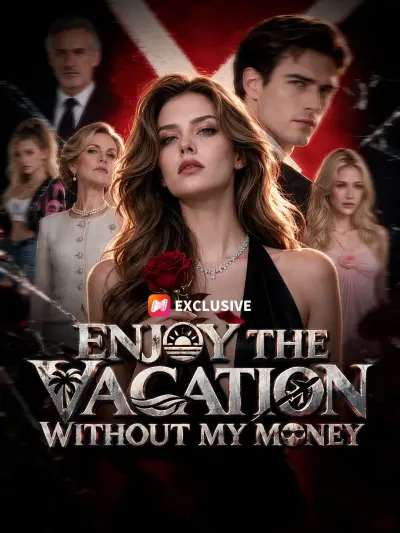 Enjoy The Vacation Without My Money poster