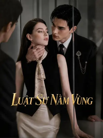 Luật Sư Nằm Vùng poster