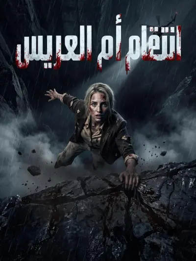 انتقام أم العريس poster