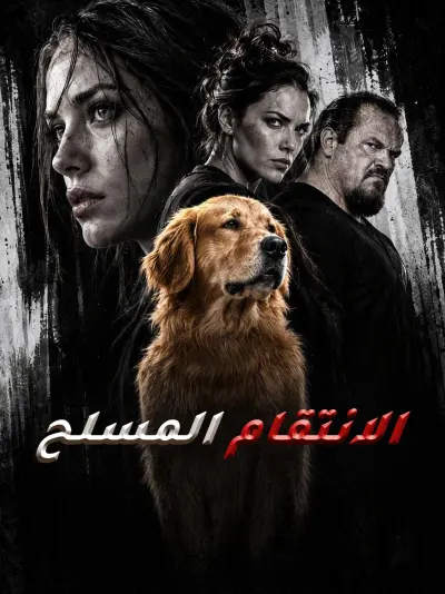 الانتقام المسلح poster