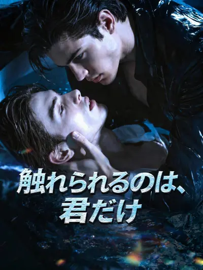 触れられるのは、君だけ poster
