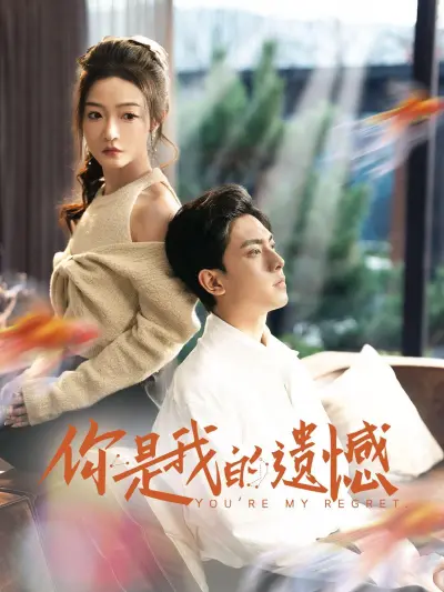 你是我的遗憾 poster