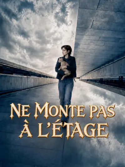 NE MONTE PAS À L'ÉTAGE poster