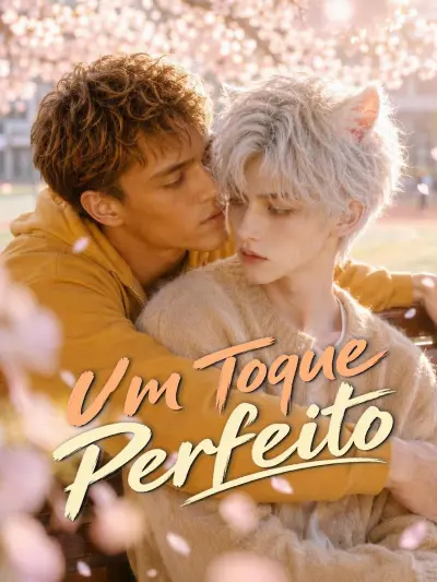 Um Toque Perfeito poster