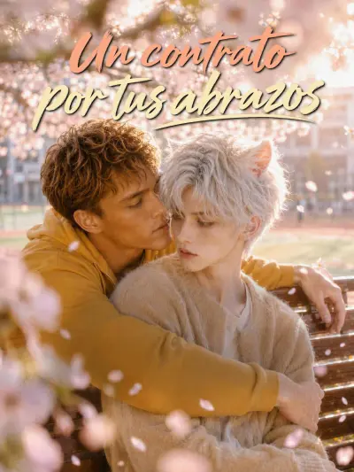 Un contrato por tus abrazos poster