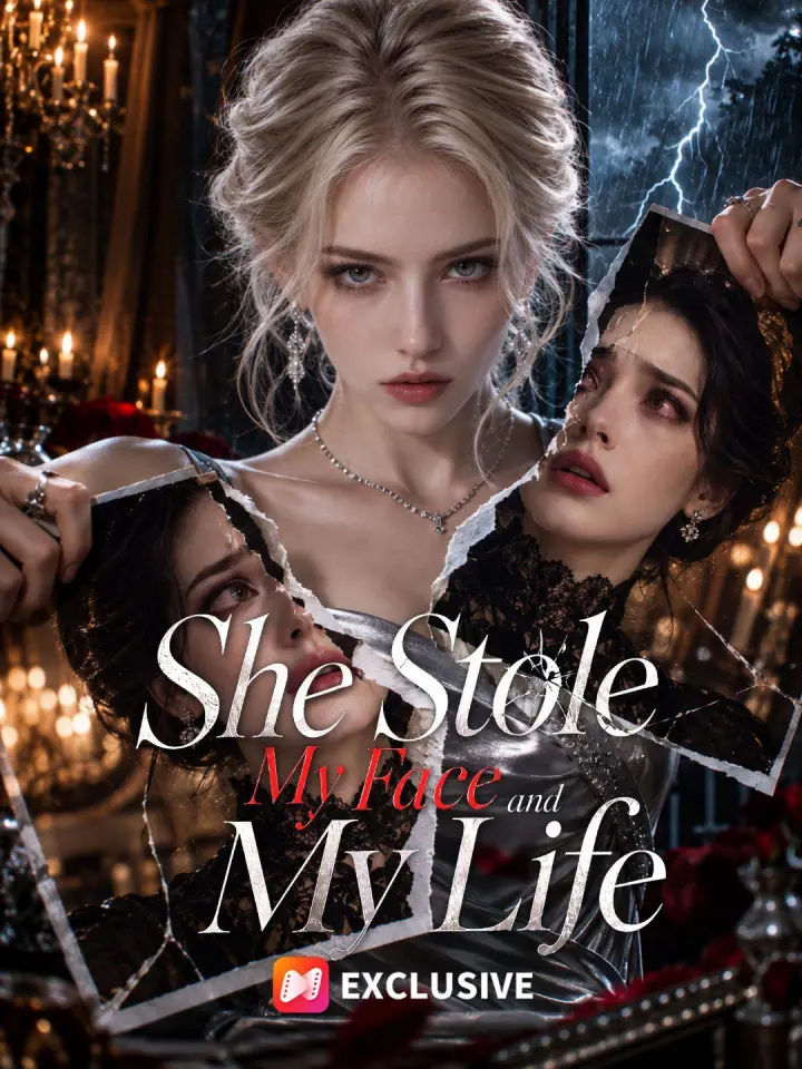 She Stole My Face And My Life poster