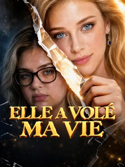 ELLE A VOLÉ MA VIE poster