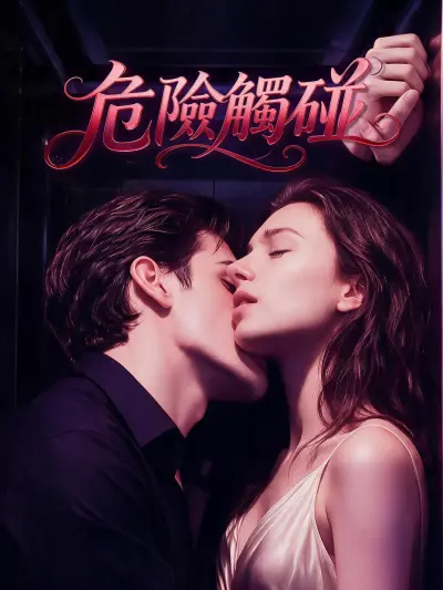 危險觸碰 poster