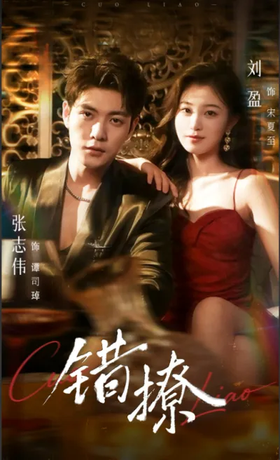 The Wrong Groom poster