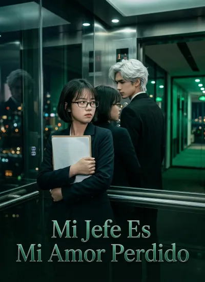 [Doblado]Mi Jefe Es Mi Amor Perdido poster