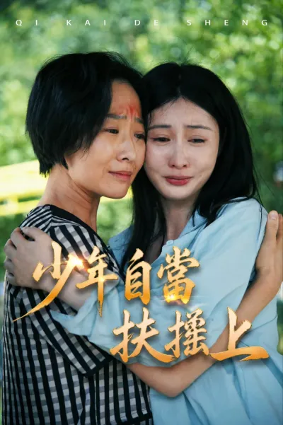 少年自當扶搖上 poster