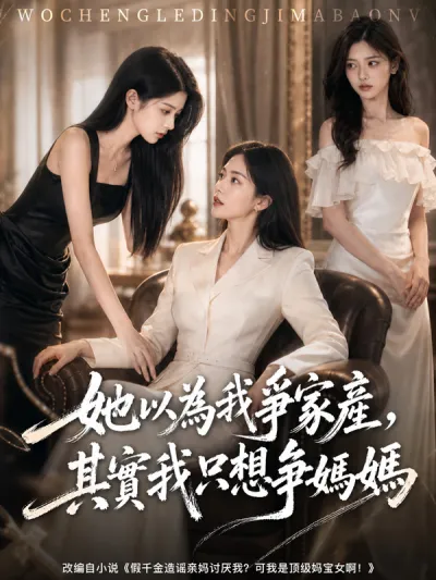 她以為我爭家產,其實我只想爭媽媽 poster