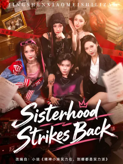 Sisterhood Strikes Back poster